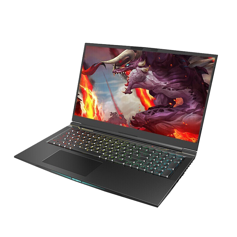 机械革命 17.3英寸游戏本