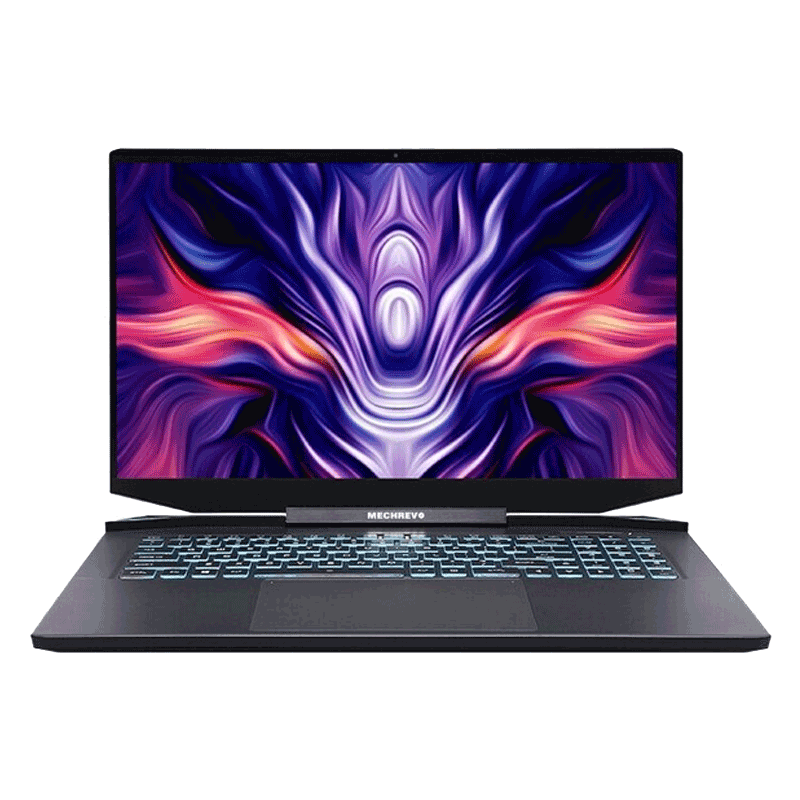 机械革命 独显直连 游戏本