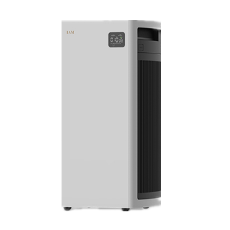 IAM甲醛数显空气净化器