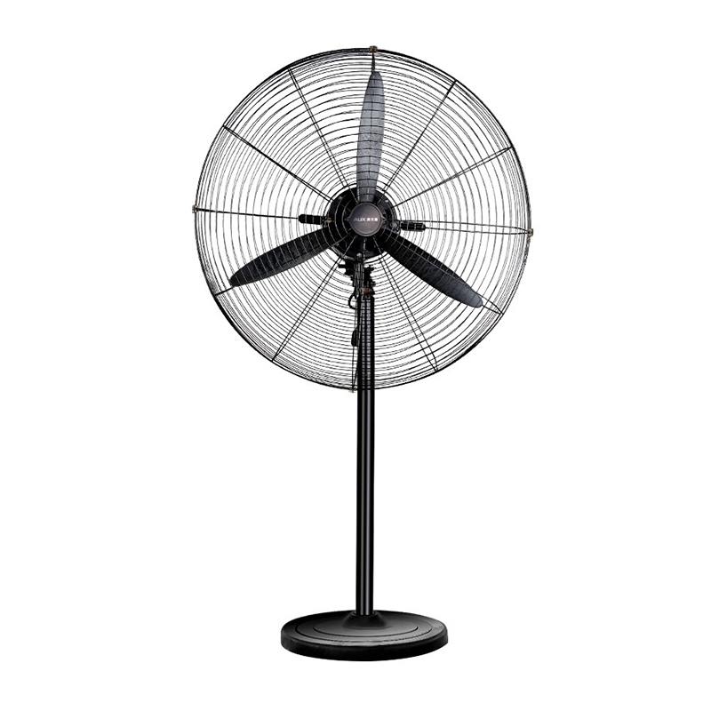 奥克斯 多挡风速电风扇