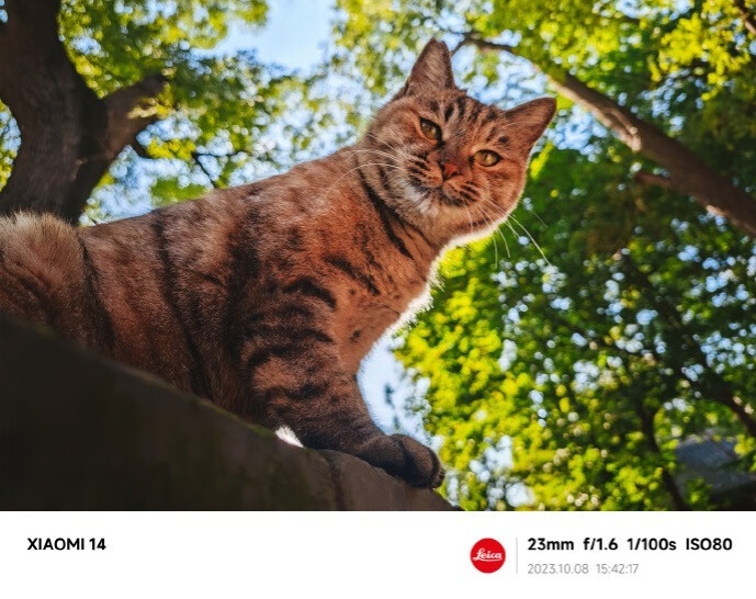 小米14跑分超200万分，据说猛男粉非常漂亮，你喜欢吗？