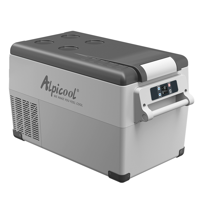 冰虎 车家两用迷你制车载冰箱