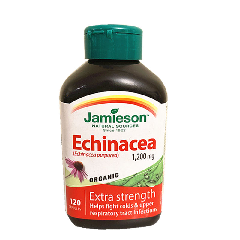 健美生 草本精华 紫锥菊胶囊