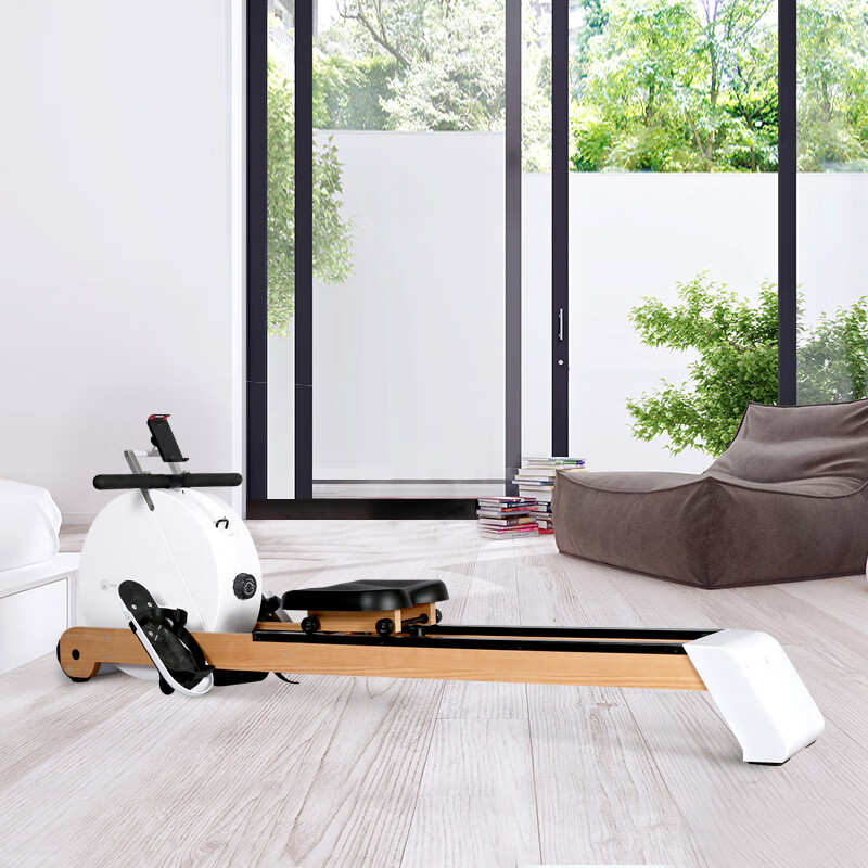 小莫 磁阻静音划船机