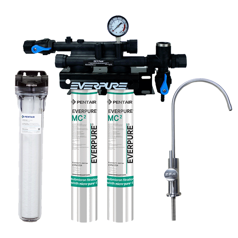 爱惠浦 双联大流量净水器