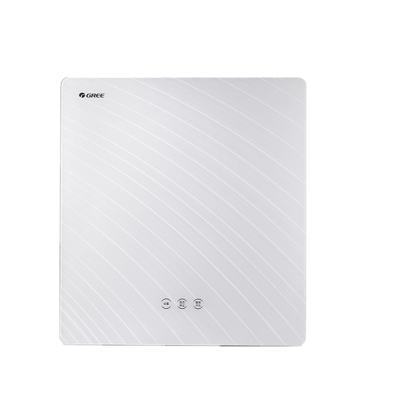 格力 智能芯片净水器