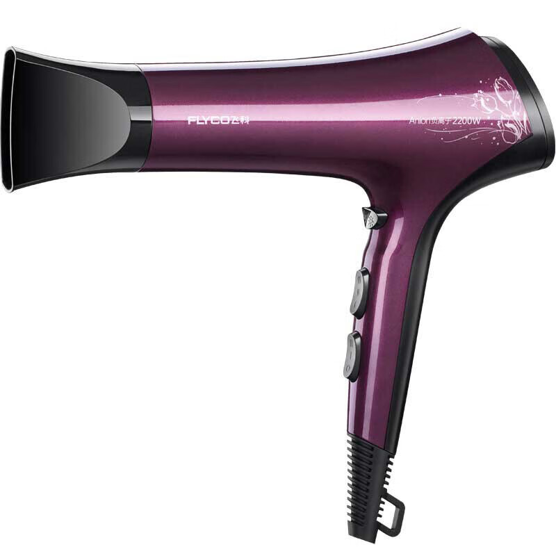 飞科 家用静音大功率电吹风