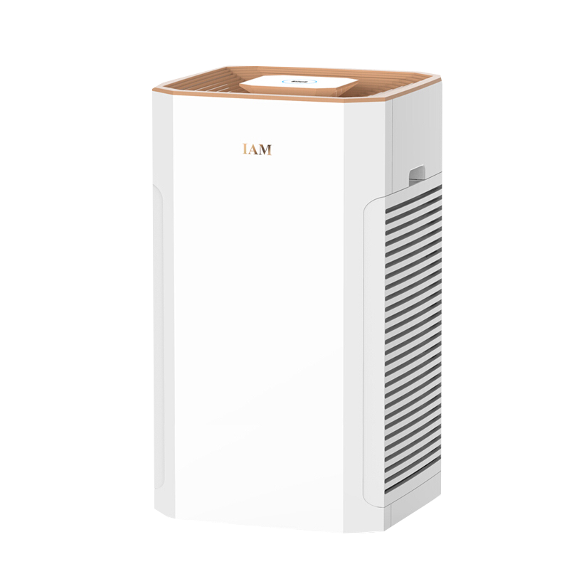 IAM质量显示空气净化器