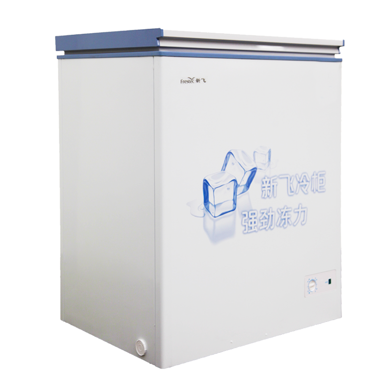 新飞 小型节能单温冰柜