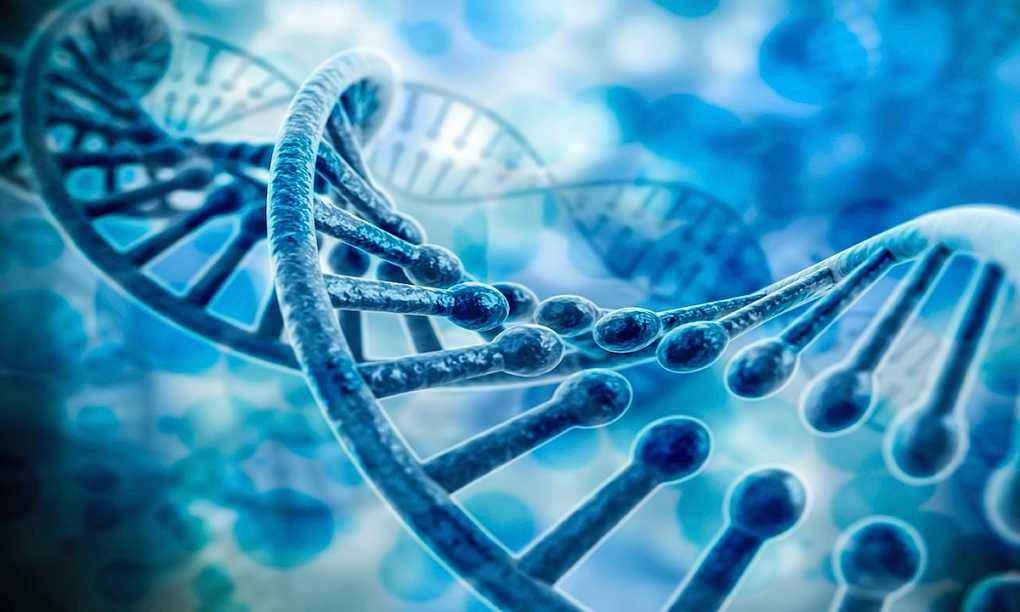 2019最失败技术：三星折叠屏“猝不及防”，苹果无辜躺枪！