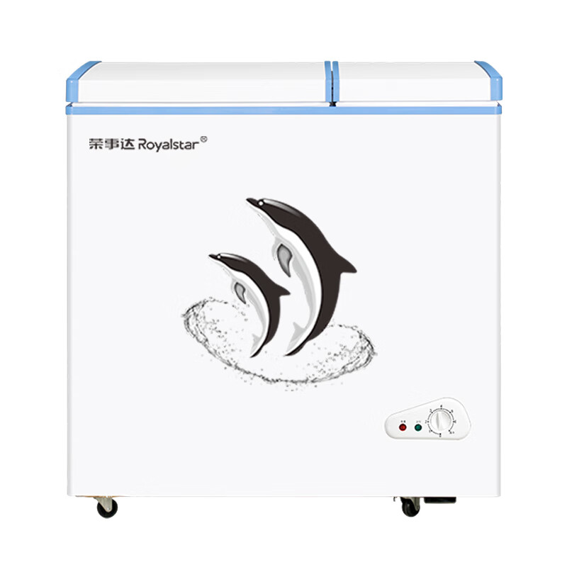 荣事达 239L大容量冷柜