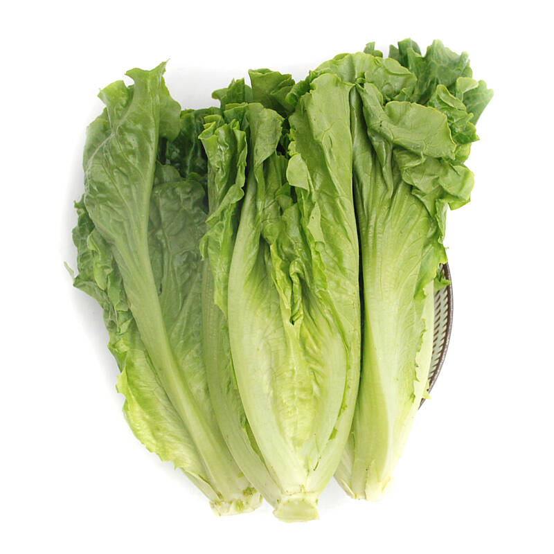 有机汇意大利散叶生菜