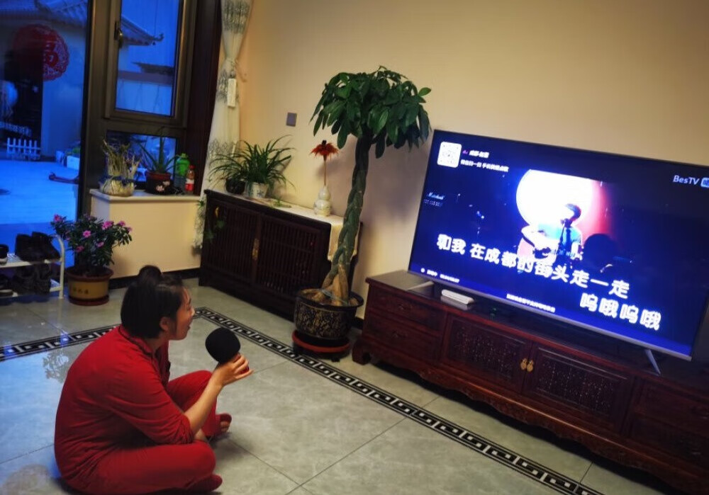 唱吧K歌宝小巨蛋麦克风测评:闲暇时光放松之选的第3张示图 唱吧K歌宝小巨蛋麦克风测评:闲暇时光放松之选的第3张示图