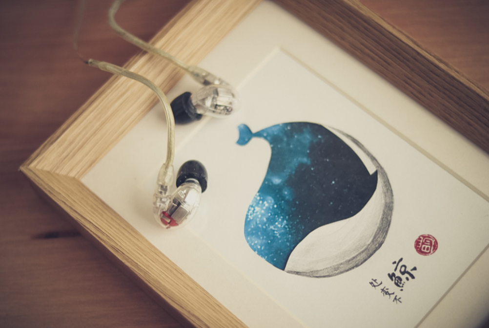 心驰神往的巅峰动铁-舒尔SE846-JinMo之家