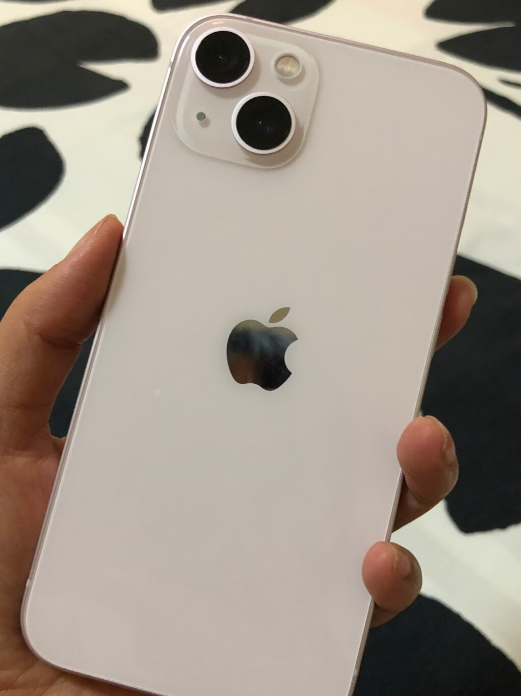 iPhone 13性价比更高，流畅度也更超前！-JinMo之家