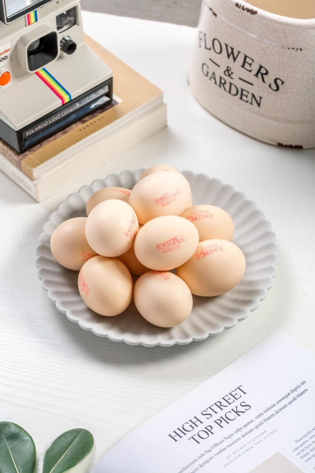 变着花样吃圣迪乐村鸡蛋，美味营养一把抓-JinMo之家