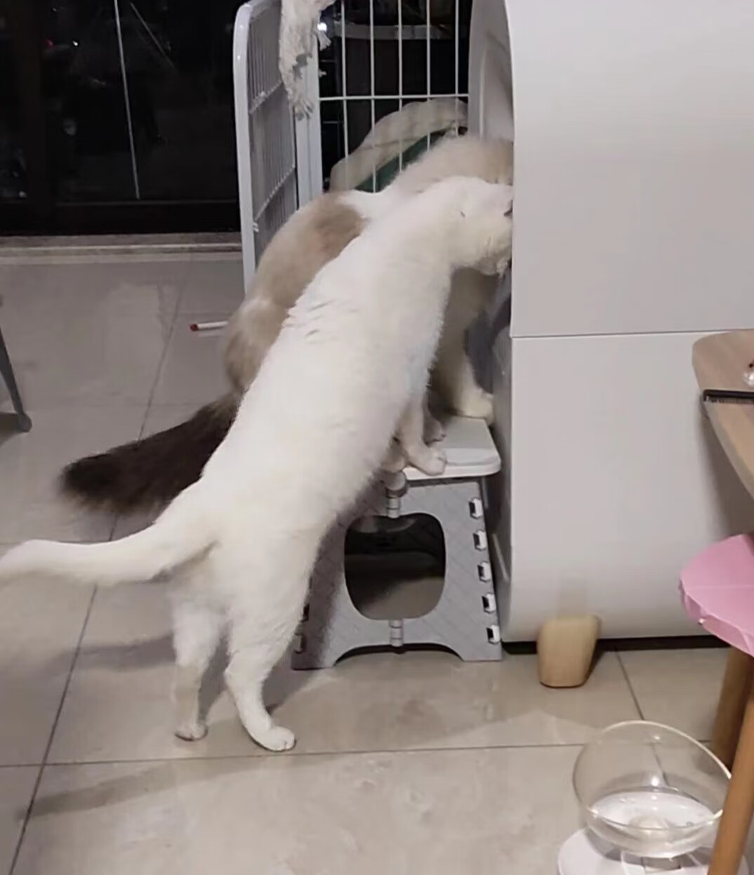 美的全自动智能猫砂盆一周体验使用感（一）-JinMo之家