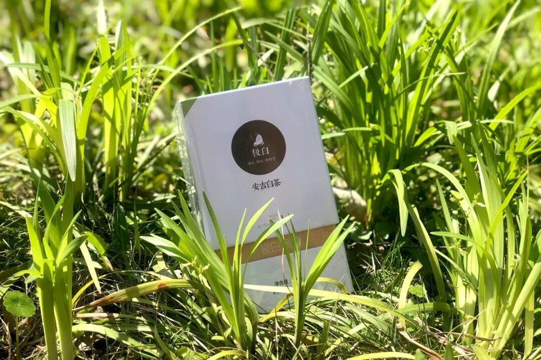 极白皇冠明前精品绿茶,用高品质诠释茶之精华的第3张示图 极白皇冠明前精品绿茶,用高品质诠释茶之精华的第3张示图