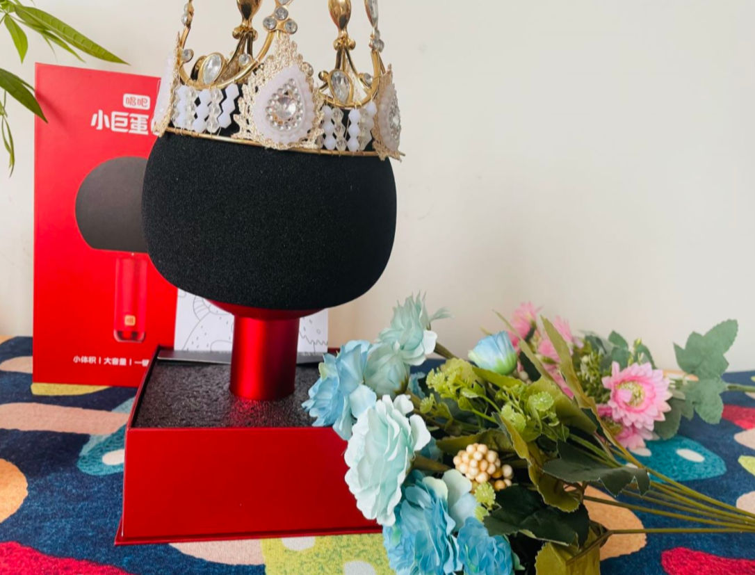 走亲访友怎能空手而来？携唱吧麦克风送上一份新意-JinMo之家