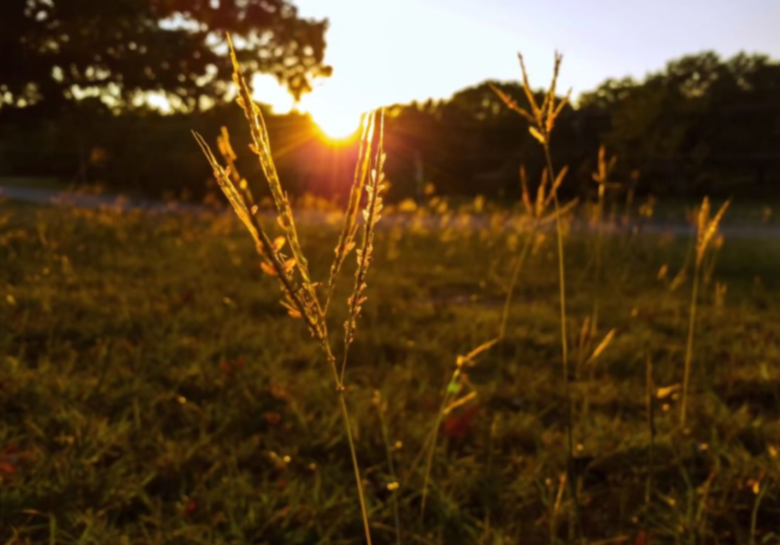 iPhone虚化总穿帮？试试索尼新一代微单手机的第5张示图