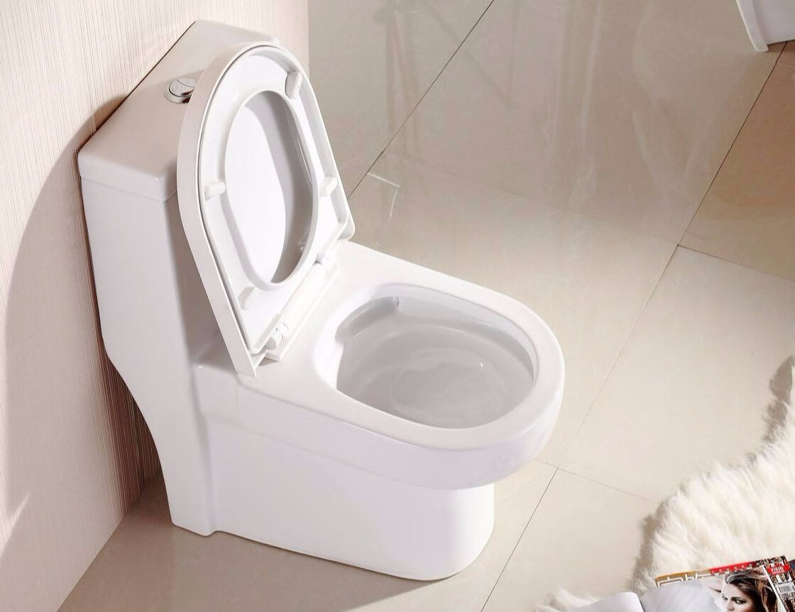 智能化生活给家庭不同感受，让如厕有了革新变化的第2张示图
