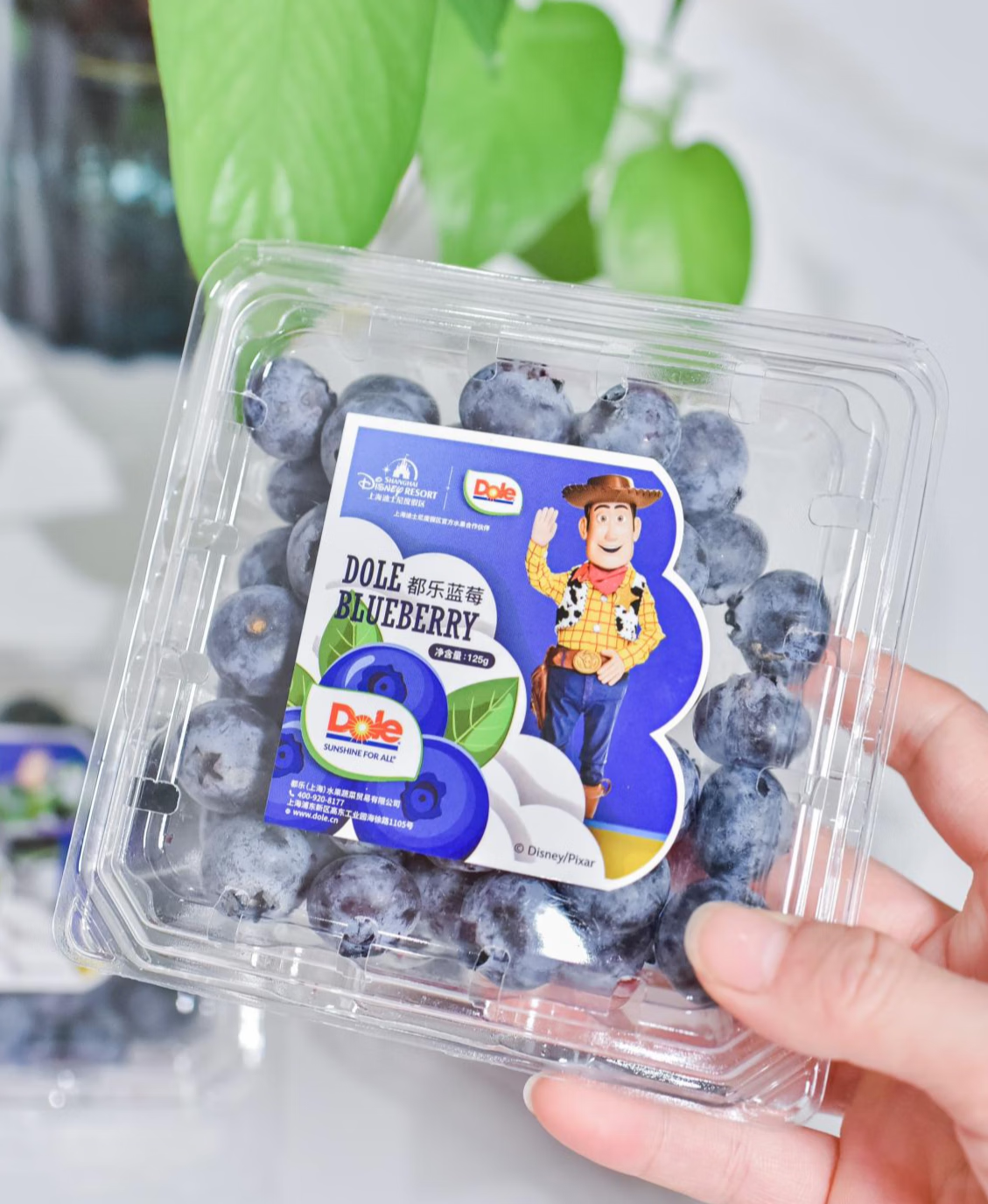 今年夏天，有都乐蓝莓才更完整！