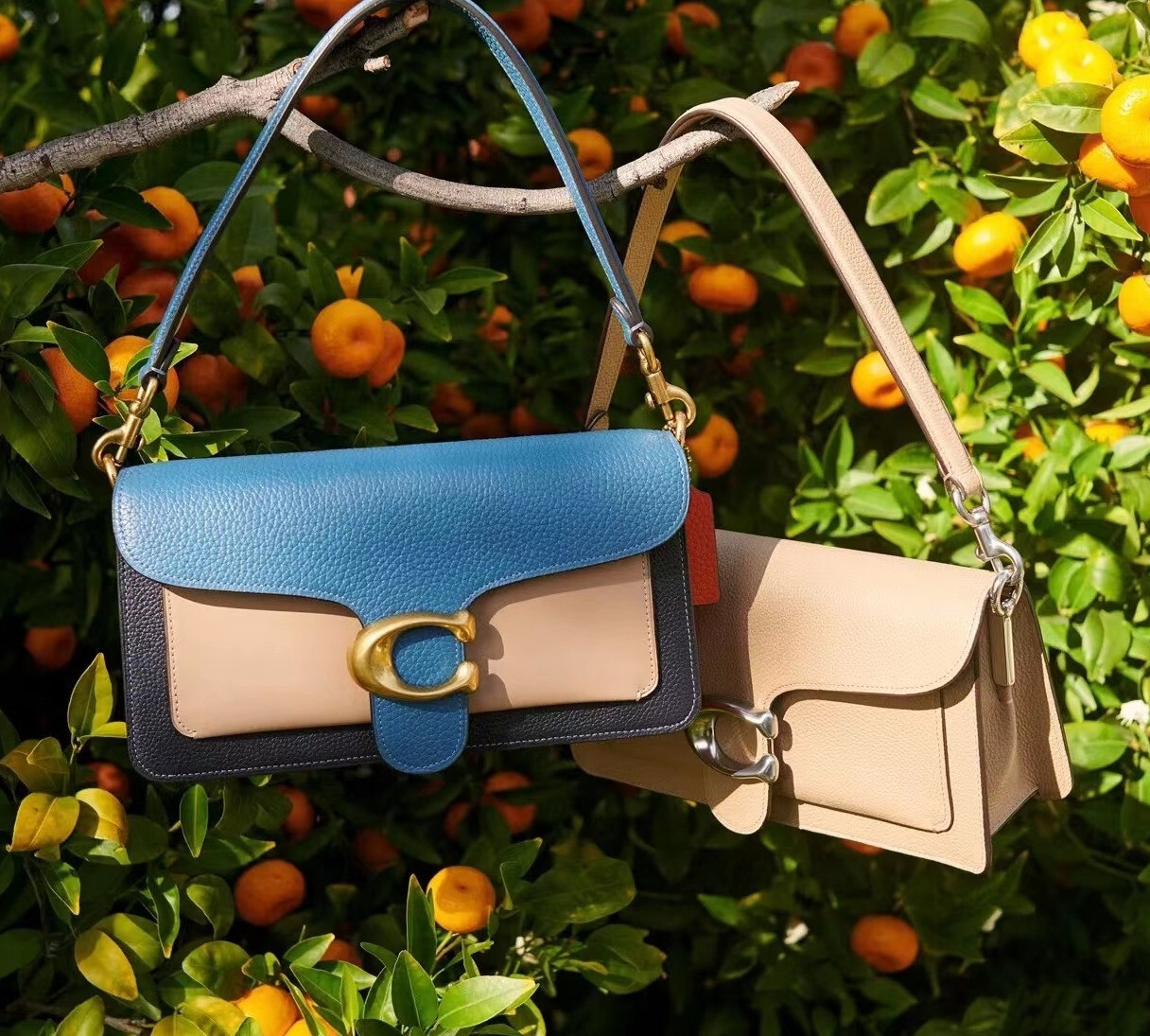 以COACH轻奢包袋为你穿出百变风采-JinMo之家