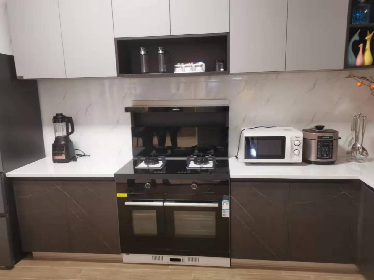 森歌T3ZK-G集成灶,集烹饪之力,“灶”成大厨-JinMo之家