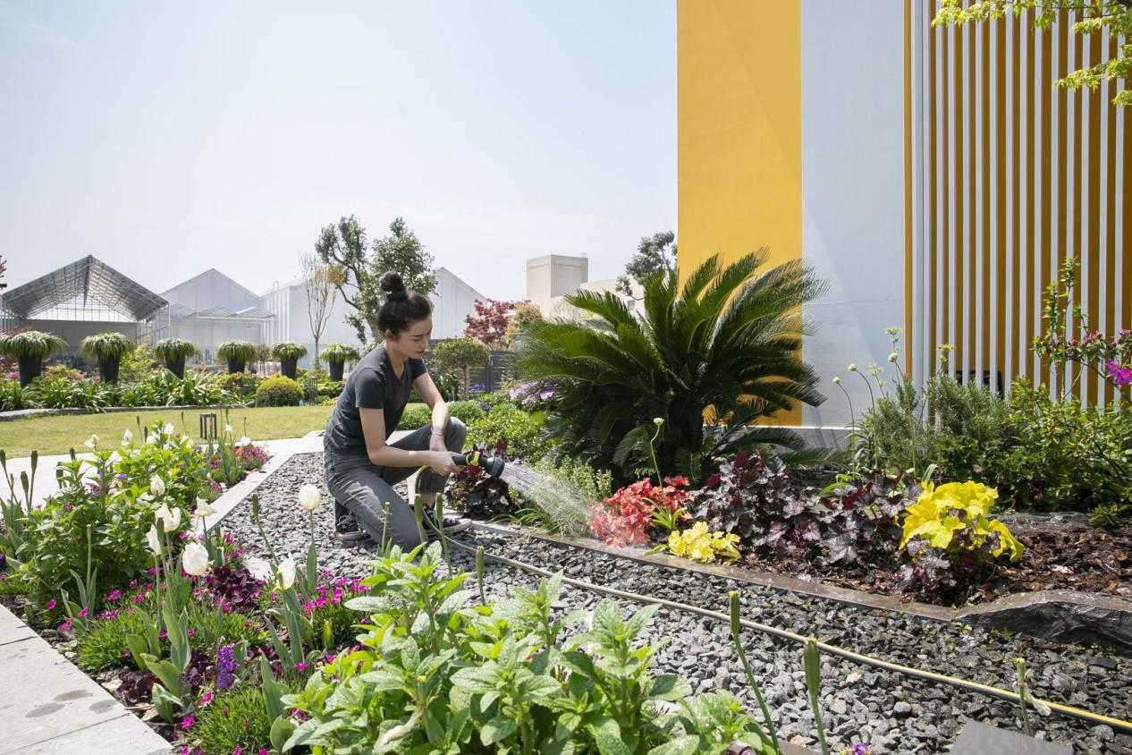 终于找到庭院养花技巧了，浇灌工具少不了的第2张示图