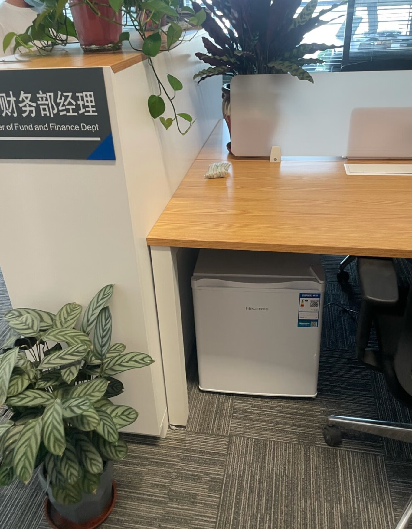 海信单门冰箱评测：身材小巧浑身是宝，节能保鲜一步到位-JinMo之家