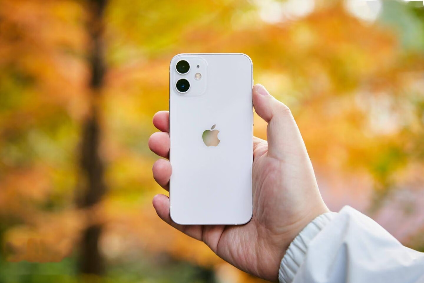 测评上一代“双摄系统打造高光时刻”的苹果Apple iPhone 12手机怎么样？的第1张示图