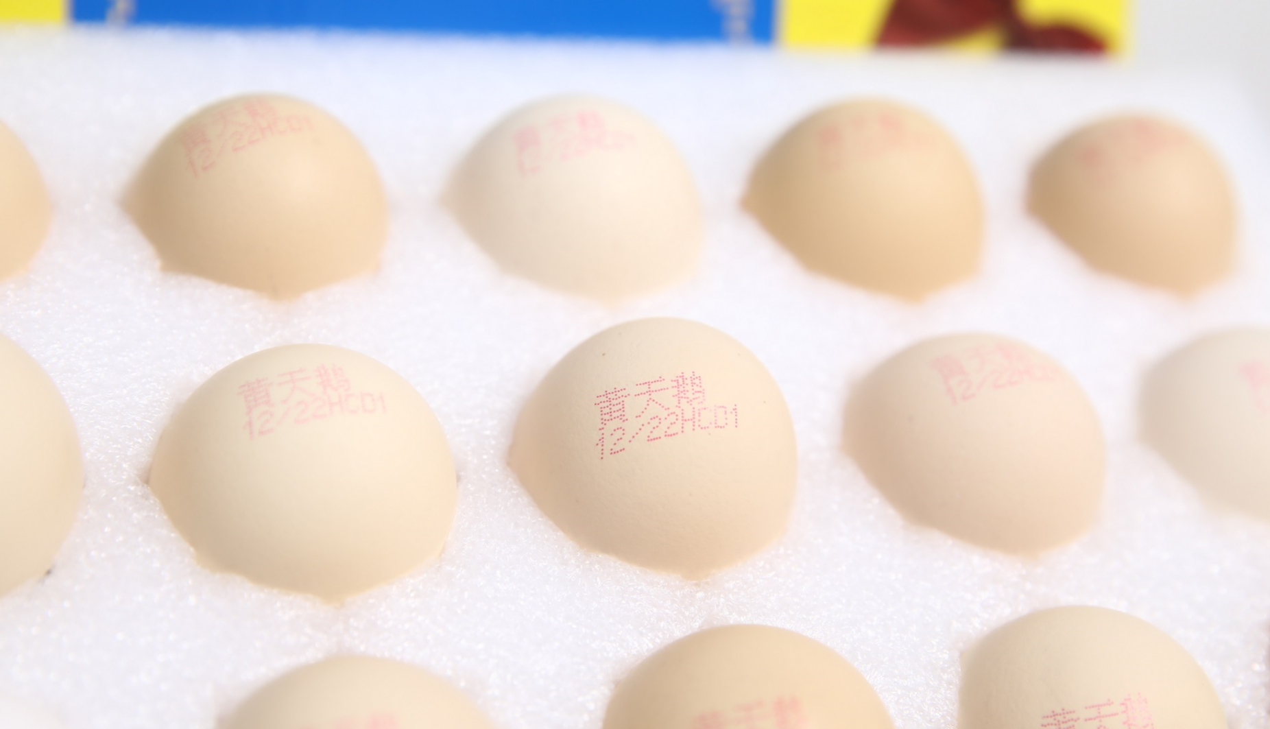 讲究吃货的挑鸡蛋攻略！营养美味我全都要～的第2张示图