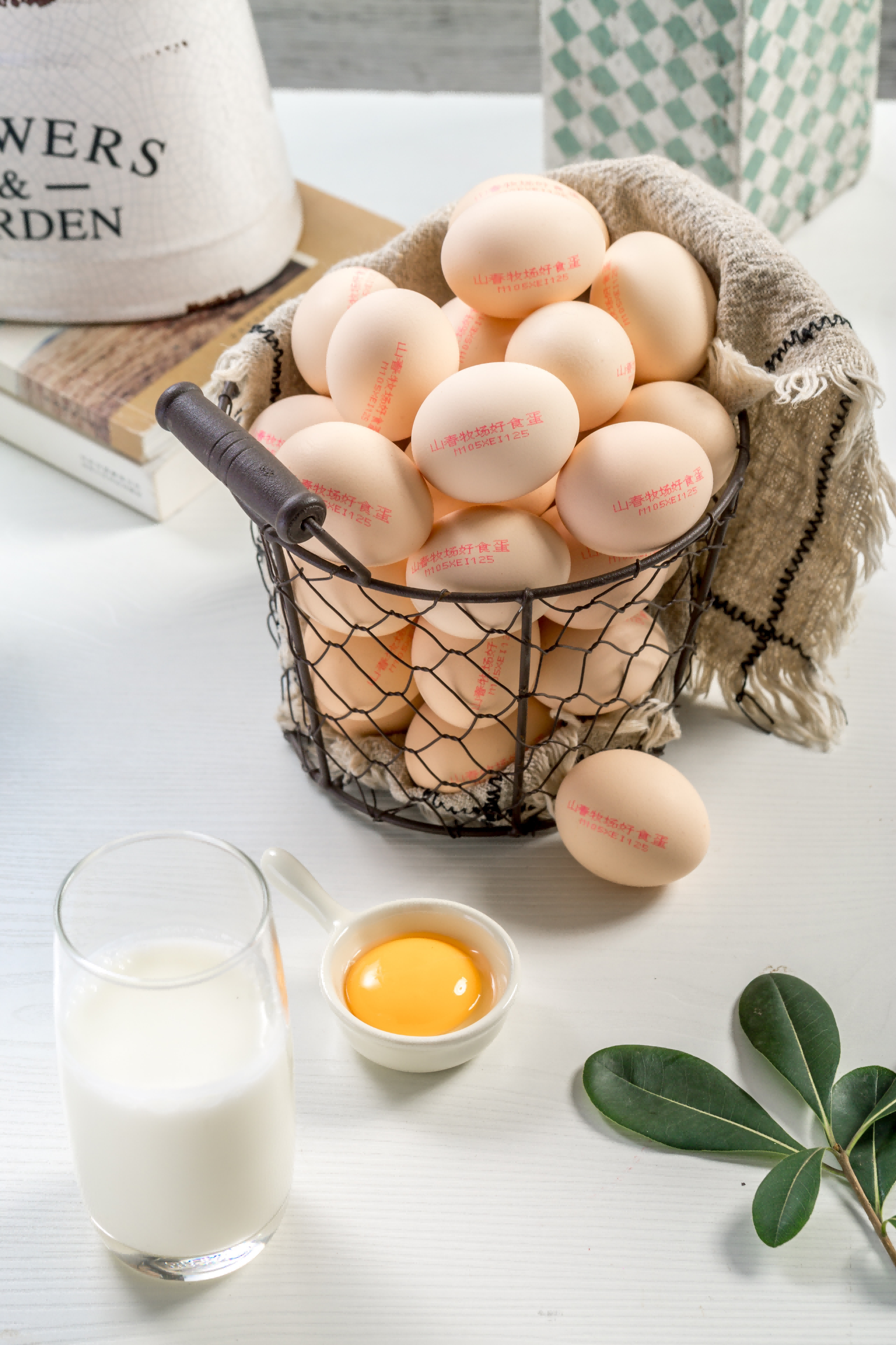 四大高标准，圣迪乐村轻松煮出鸡蛋美味-JinMo之家