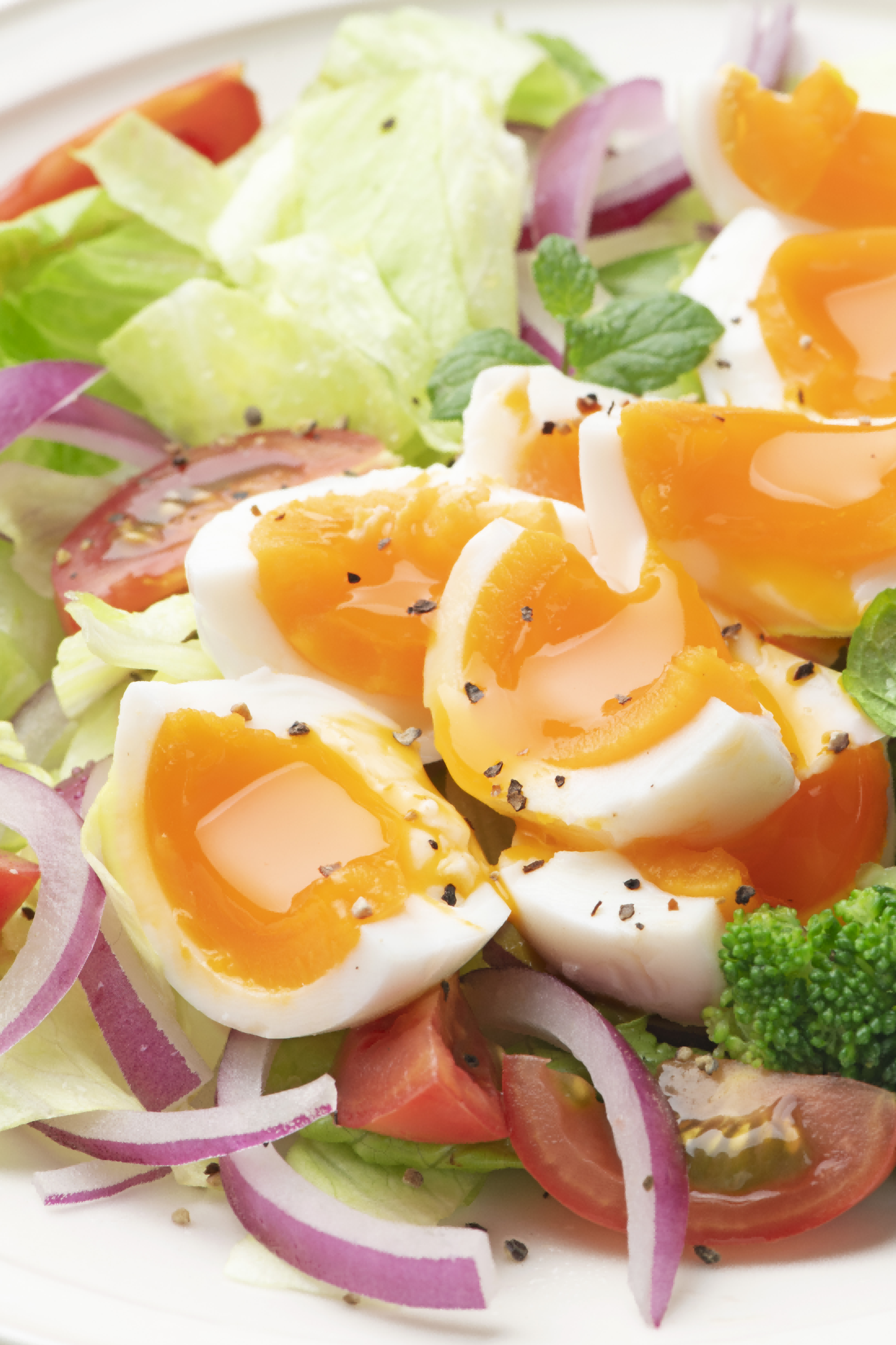 品味美食醇香，就从圣迪乐村鸡蛋开始-JinMo之家