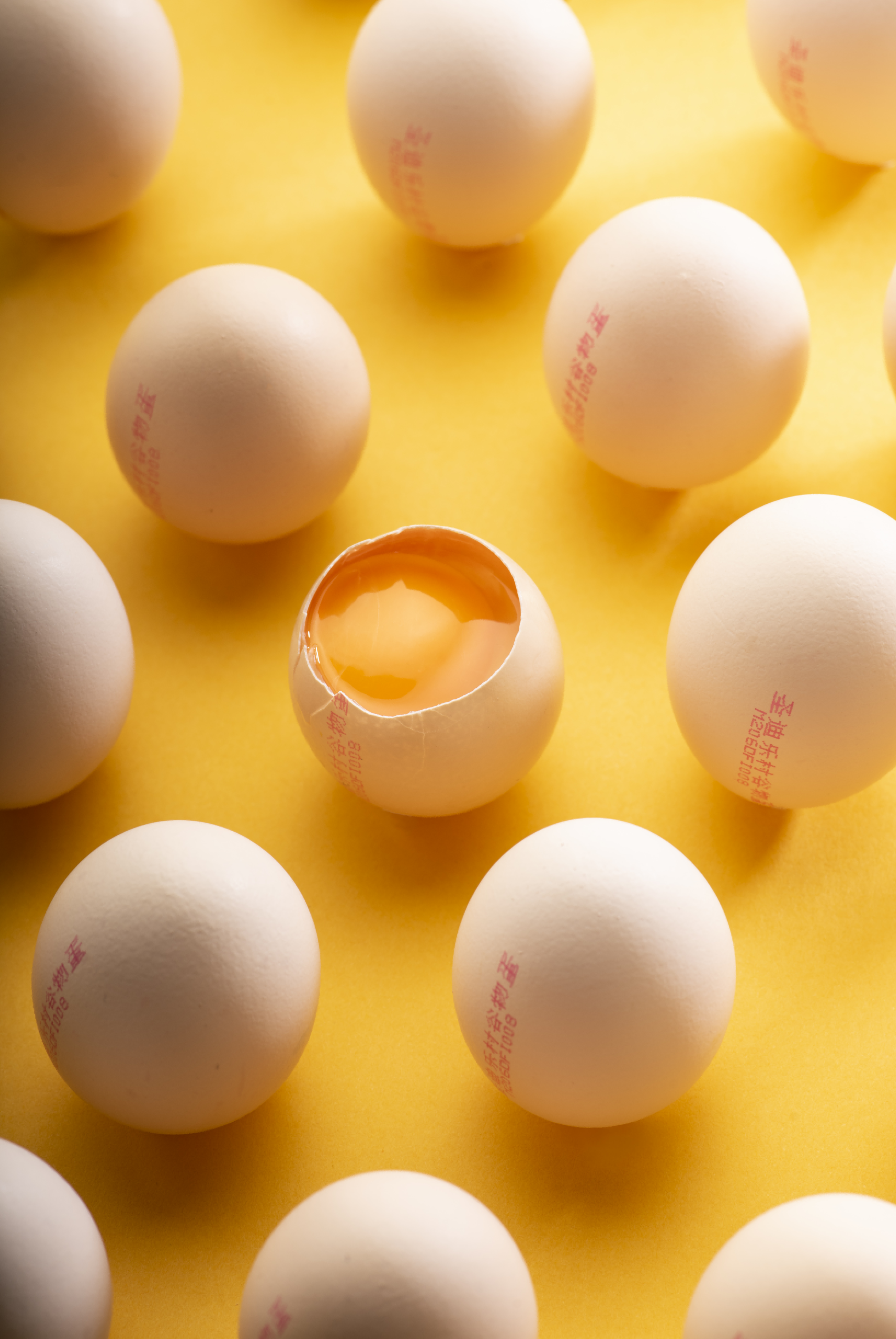 精心培育造就圣迪乐村鸡蛋，让美味触手可及-JinMo之家