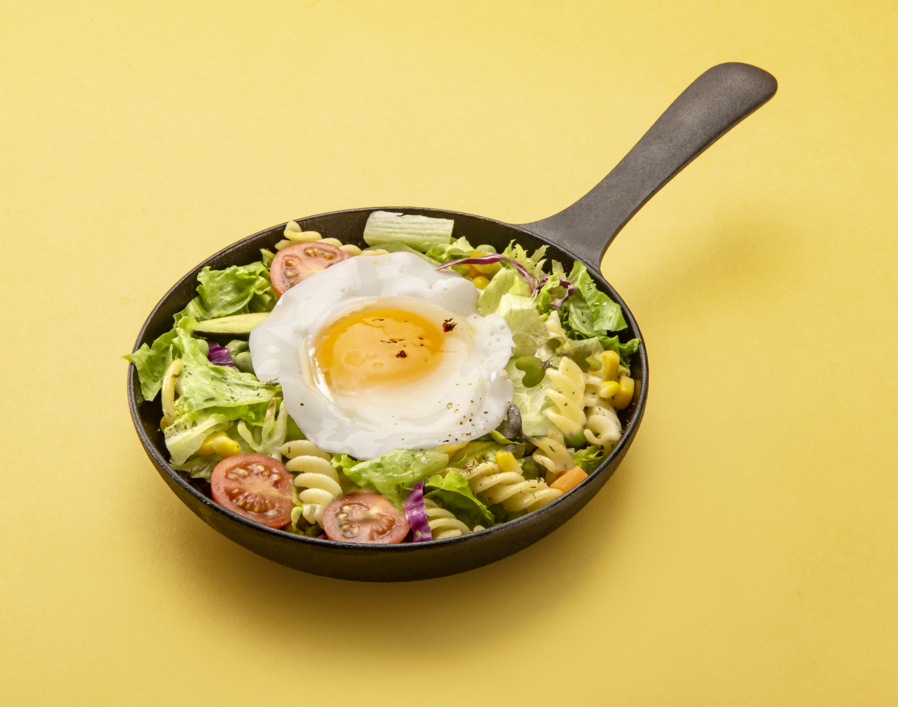 每天一颗圣迪乐村谷物鲜鸡蛋，健康常伴左右-JinMo之家