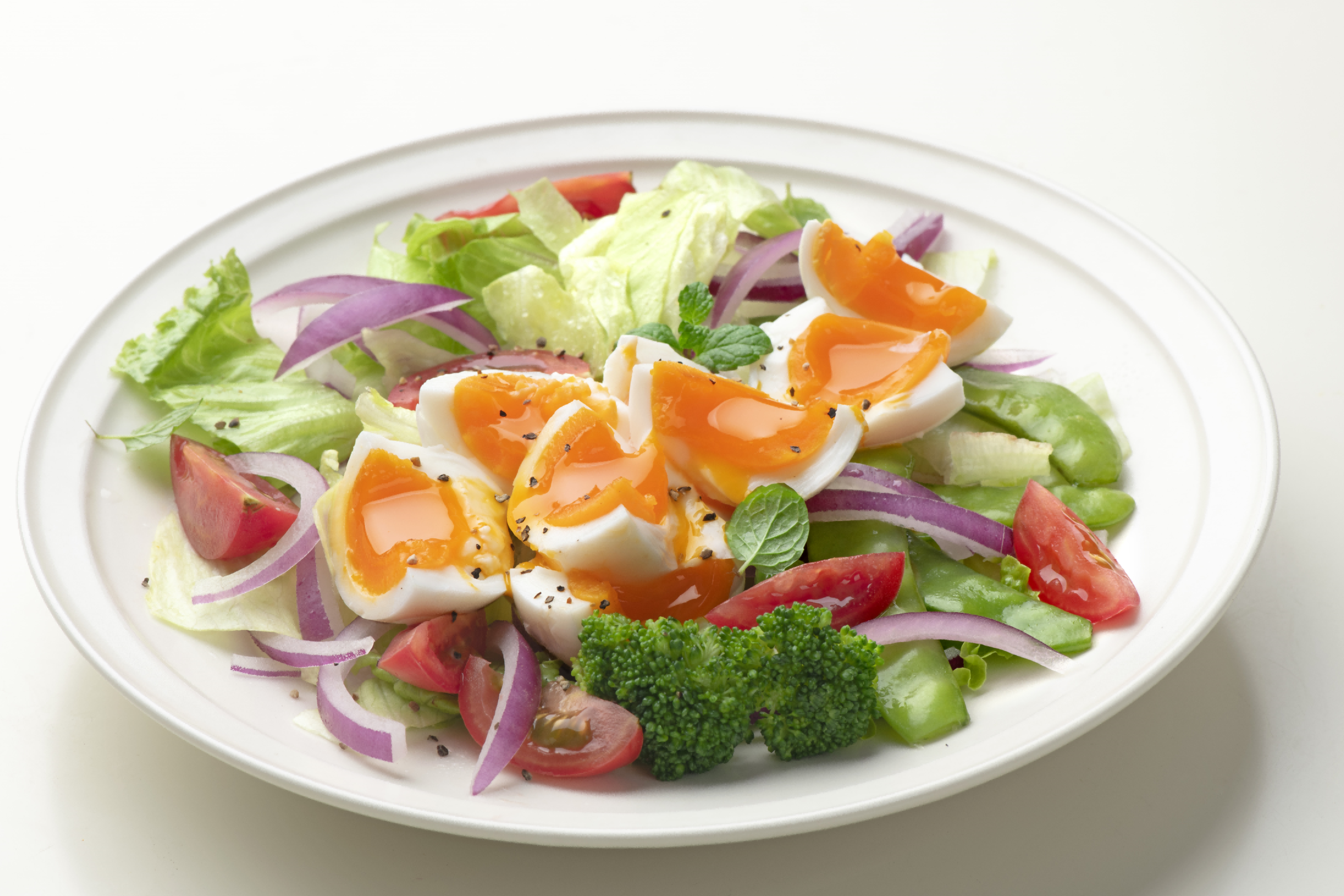 每一颗圣迪乐村鸡蛋都有保障，只因用心培育-JinMo之家