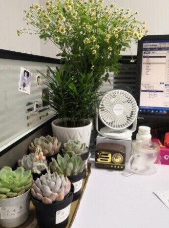 不让闷热郁结在心,赶紧安排上赛亿电风扇的第4张示图 不让闷热郁结在心,赶紧安排上赛亿电风扇的第4张示图