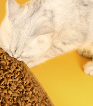 营养多元不添加诱食剂，怡亲猫粮让小猫咪更加健康