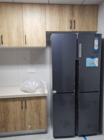 节能省电噪音低，一眼心动的冰箱的第3张示图