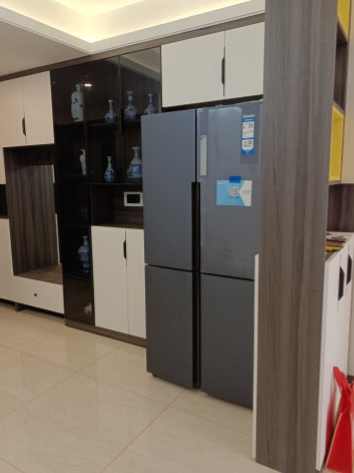 节能省电噪音低,一眼心动的冰箱-JinMo之家