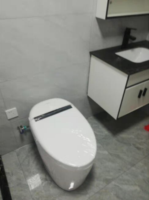 财陶原动力纯平马桶评测：接水就能用，无惧水压高低-JinMo之家