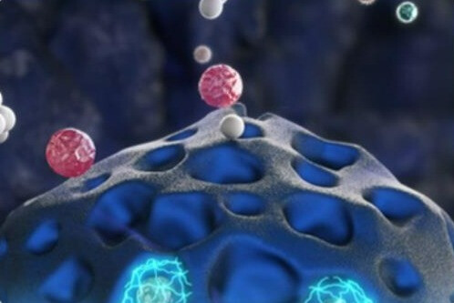 在室内的一呼一吸间享受健康清新，这款好物帮你！的第5张示图