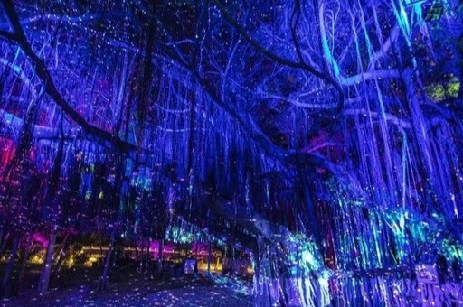 胡里山炮台光影秀,光影盛宴再造夜游新地标的第10张示图 胡里山炮台光影秀,光影盛宴再造夜游新地标的第10张示图