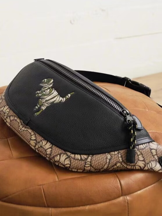 冬季潮款包袋,就看COACH时尚新品的第3张示图 冬季潮款包袋,就看COACH时尚新品的第3张示图