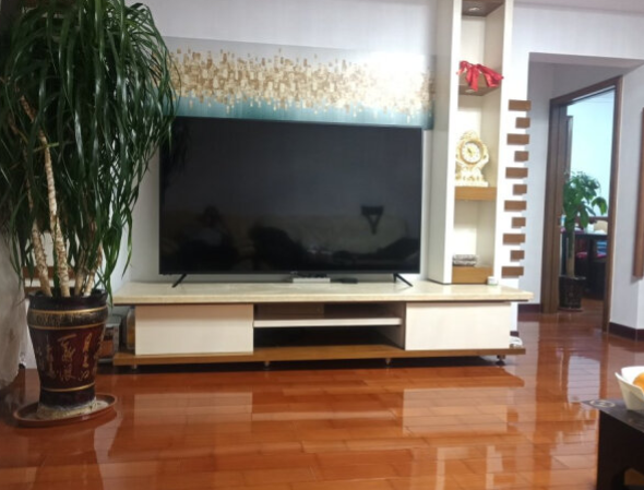 拯救无聊时刻，当然要有高清电视的陪伴啦-JinMo之家