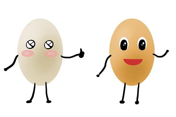 常见蛋类哪个最有营养?鸡蛋并不是第一，三种蛋类尽量别吃-JinMo之家