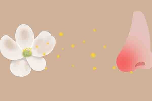 什么是花粉过敏?春季花粉过敏的高峰期，怎么预防？-JinMo之家