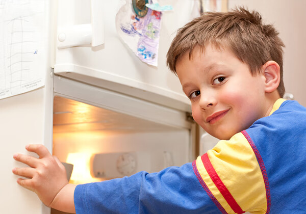 家里食物制冷怎能少了智能电冰箱！-JinMo之家