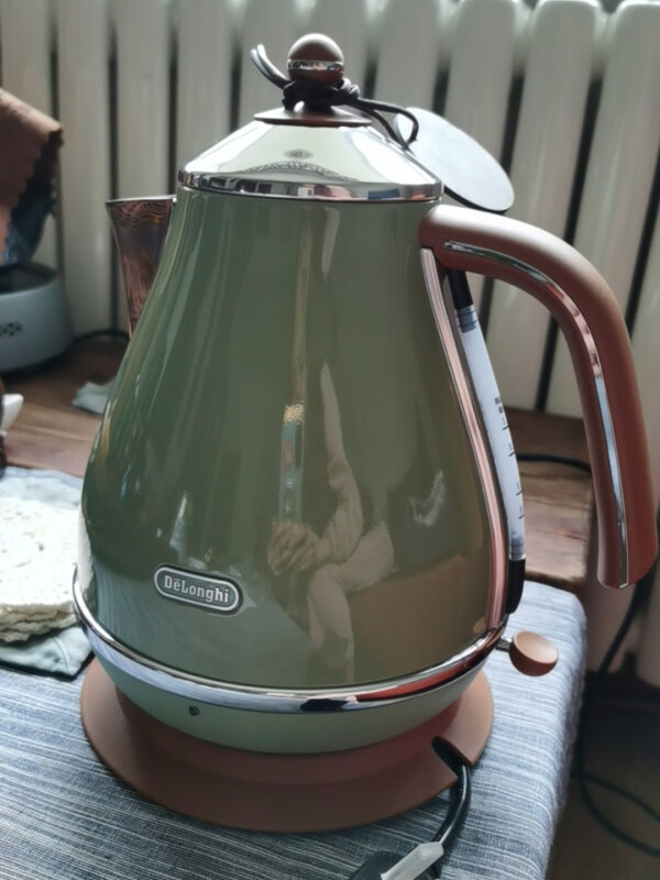 测评德龙电水壶：这个夏天和花果茶很配哦的第1张示图